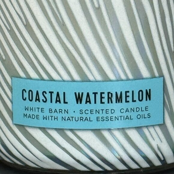 BBW Coastal Watermelon White Barn Bath & Body Works Mason Jar Single Wick Candle - Picture 3 of 10